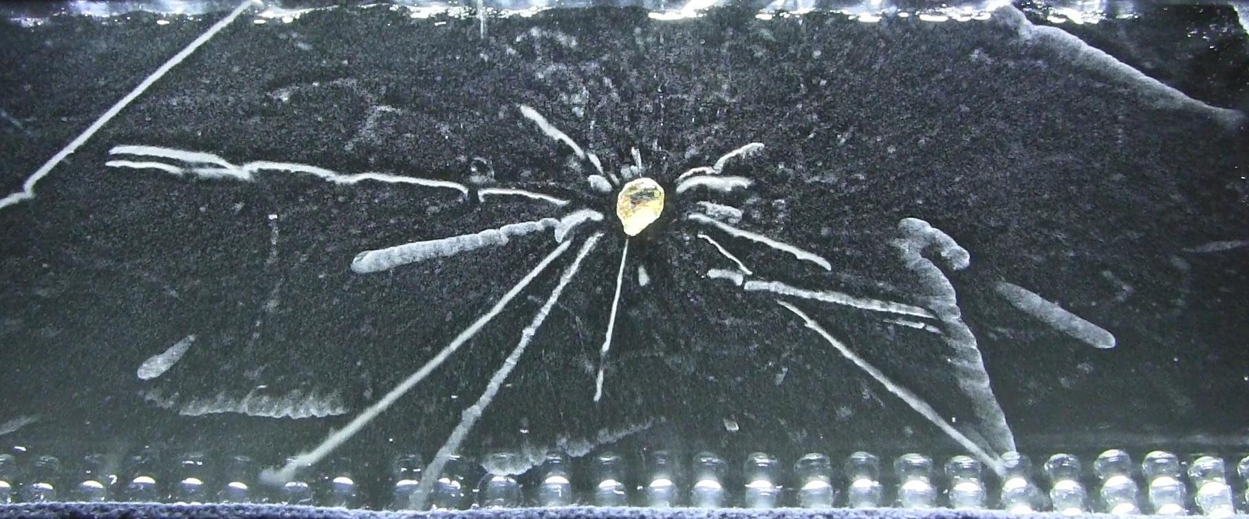 Radioactivity of a Thorite mineral seen in a cloud chamber. (Photo credit: Julien Simon)